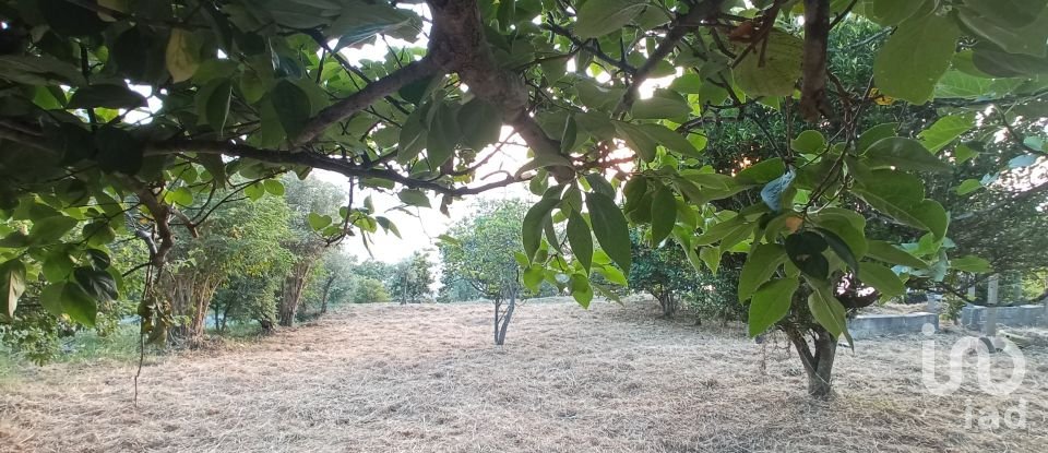 Terreno agricolo di 1.716 m² in - (87030)