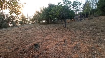 Terreno agricolo di 1.716 m² in - (87030)