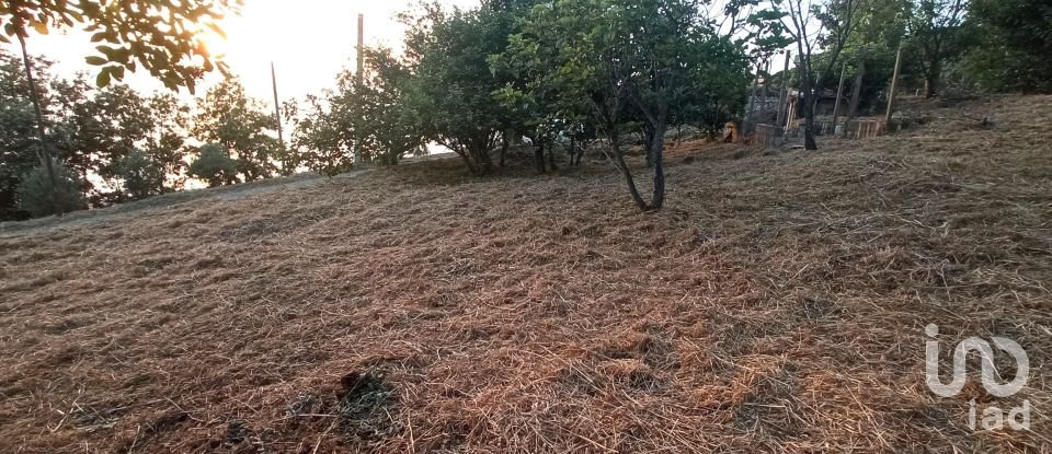 Terreno agricolo di 1.716 m² in - (87030)