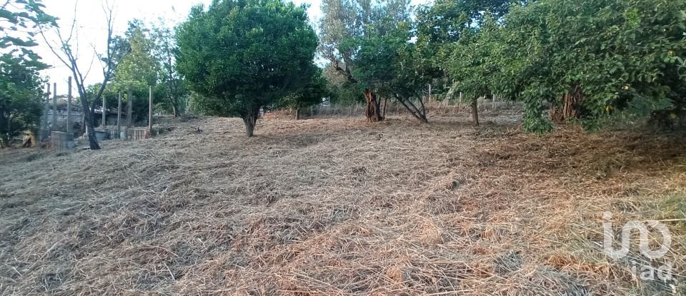 Terreno agricolo di 1.716 m² in - (87030)