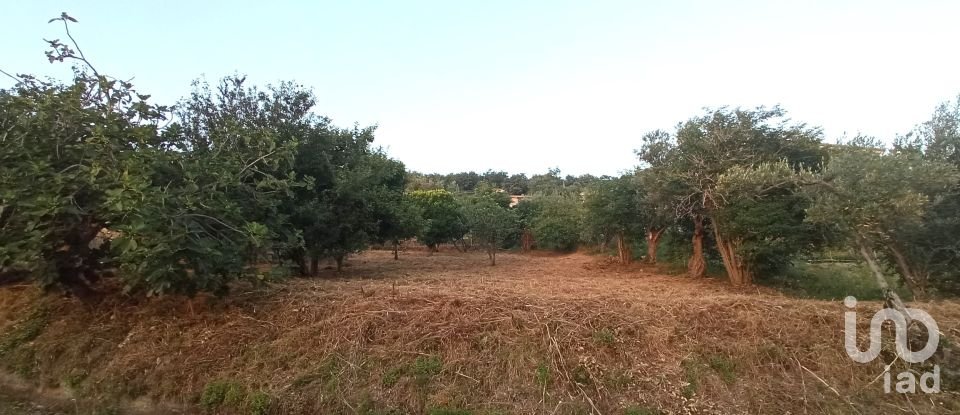 Terreno agricolo di 1.716 m² in - (87030)