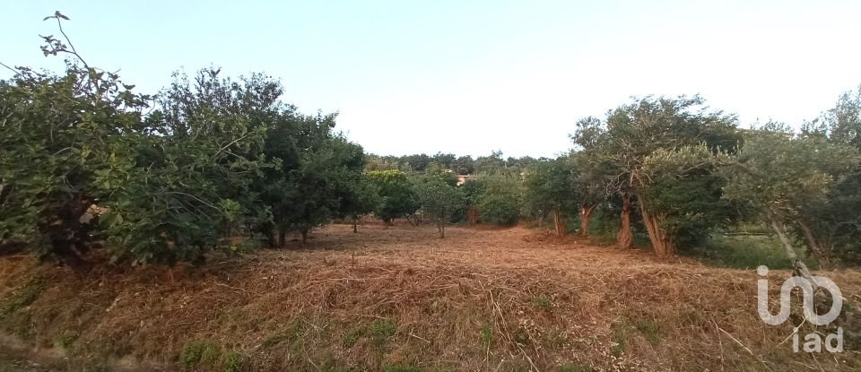 Agricultural land of 1,716 m² in - (87030)
