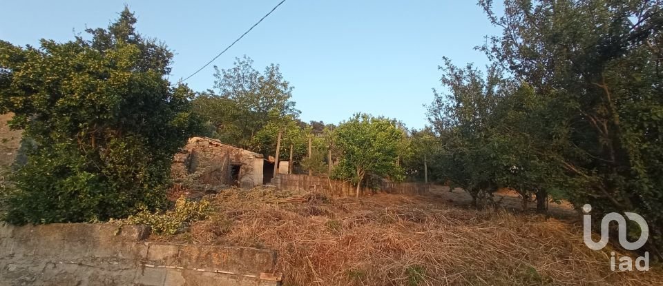 Terreno agricolo di 1.716 m² in - (87030)