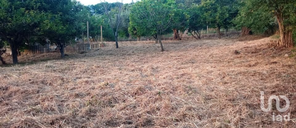 Terreno agricolo di 1.716 m² in - (87030)