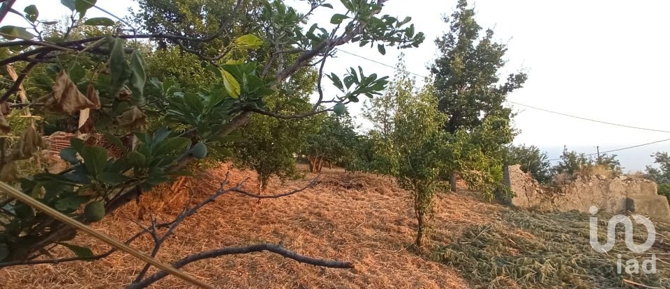 Terreno agricolo di 1.716 m² in - (87030)