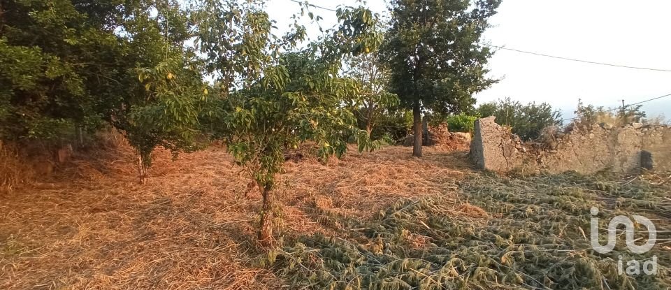 Terreno agricolo di 1.716 m² in - (87030)