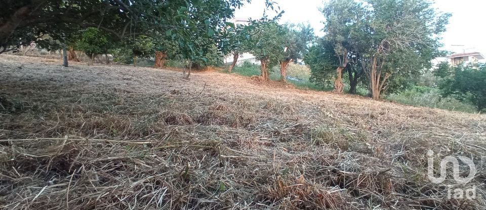 Terreno agricolo di 1.716 m² in - (87030)