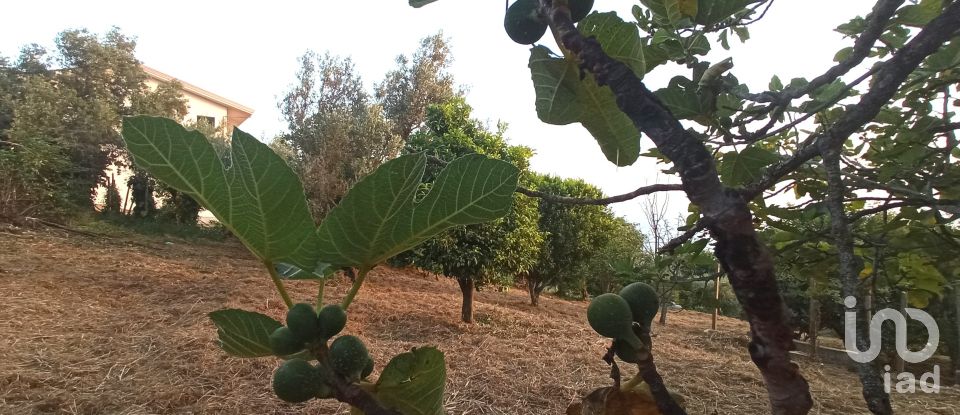 Terreno agricolo di 1.716 m² in - (87030)