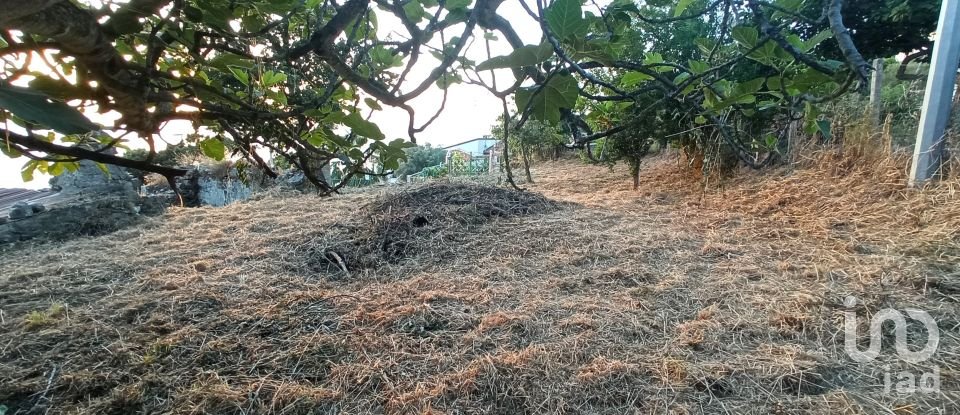 Terreno agricolo di 1.716 m² in - (87030)