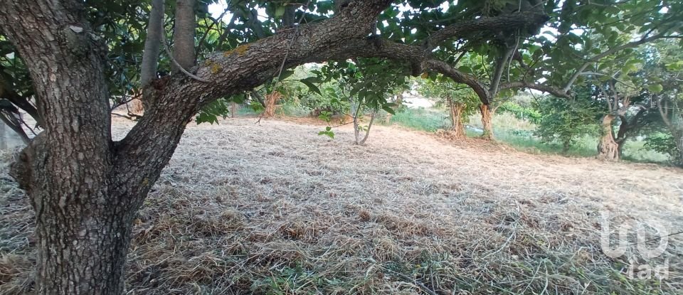 Terreno agricolo di 1.716 m² in - (87030)