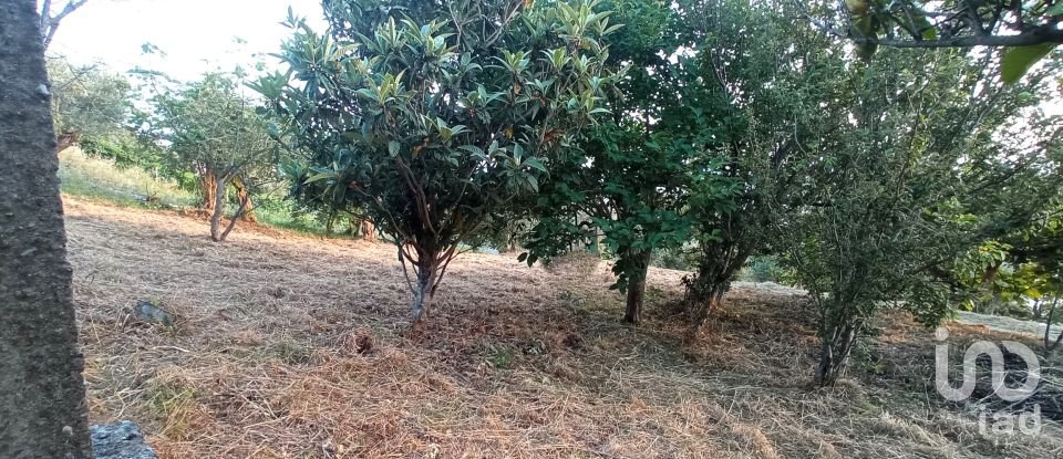 Terreno agricolo di 1.716 m² in - (87030)
