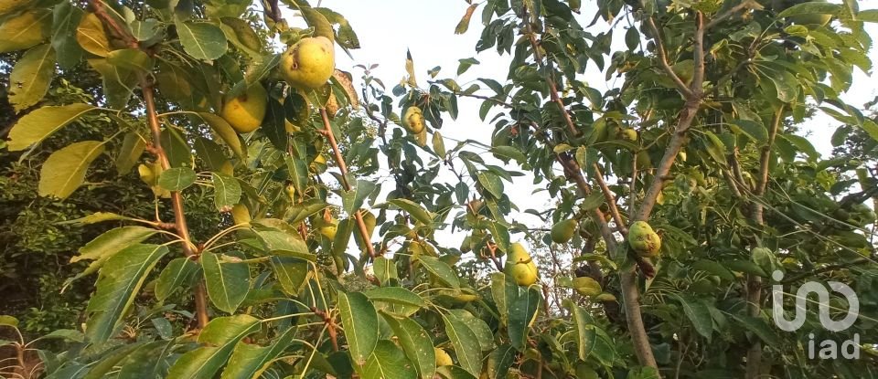 Terreno agricolo di 1.716 m² in - (87030)