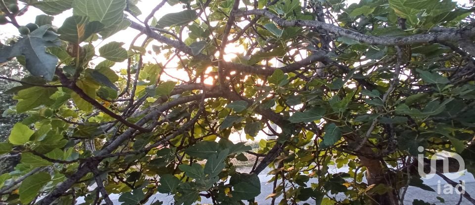 Terreno agricolo di 1.716 m² in - (87030)