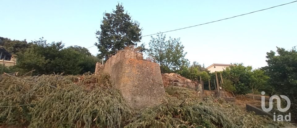 Terreno agricolo di 1.716 m² in - (87030)