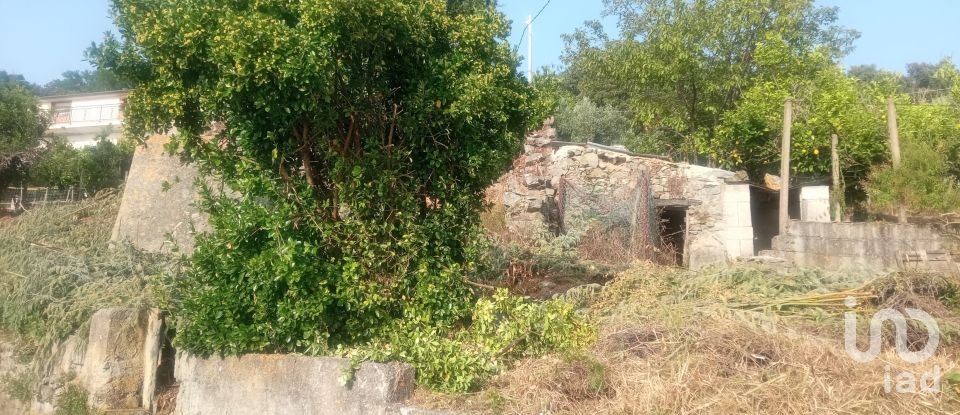 Terreno agricolo di 1.716 m² in - (87030)