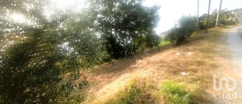 Terreno agricolo di 1.716 m² in - (87030)