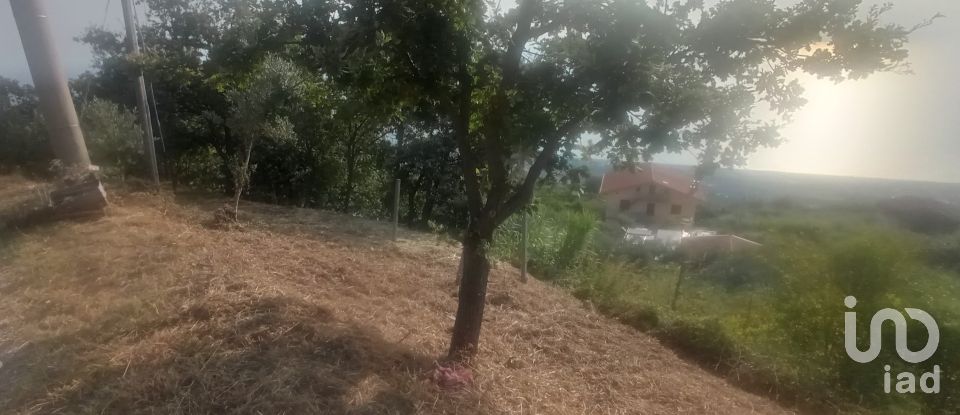Terreno agricolo di 1.716 m² in - (87030)