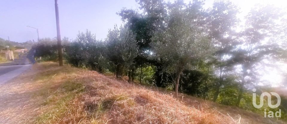 Terreno agricolo di 1.716 m² in - (87030)