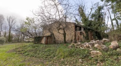 Capannone di 195 m² in Cingoli (62011)