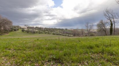 Capannone di 195 m² in Cingoli (62011)