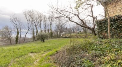 Capannone di 195 m² in Cingoli (62011)