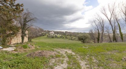 Capannone di 195 m² in Cingoli (62011)
