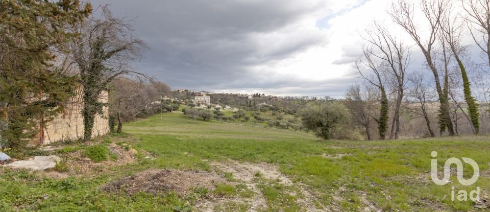 Capannone di 195 m² in Cingoli (62011)