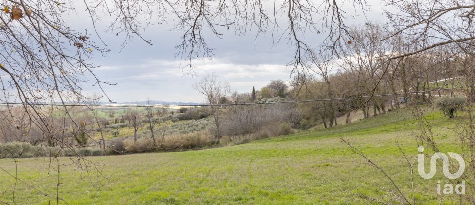 Capannone di 195 m² in Cingoli (62011)