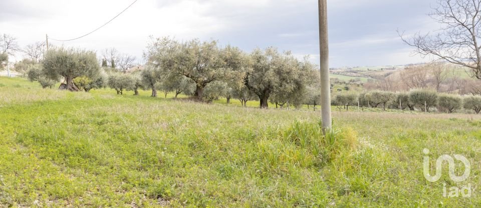 Capannone di 195 m² in Cingoli (62011)