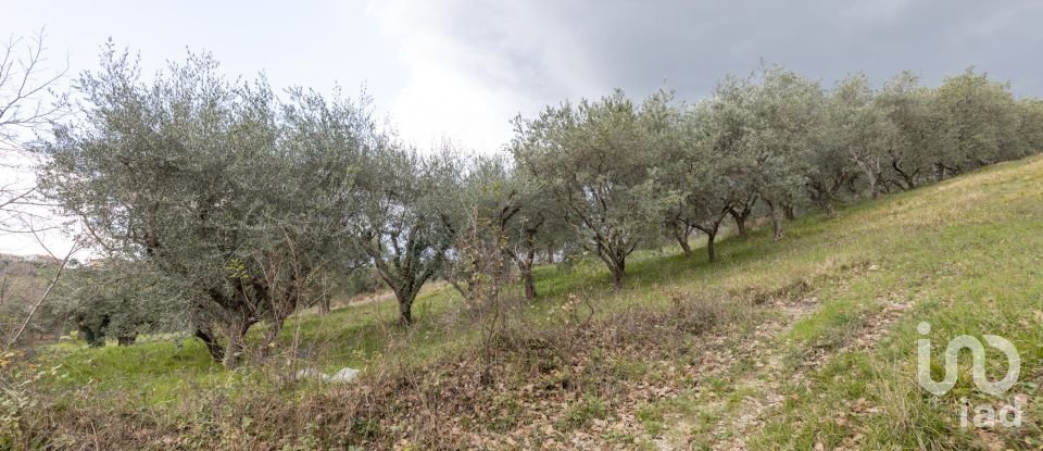 Capannone di 195 m² in Cingoli (62011)