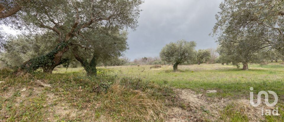 Capannone di 195 m² in Cingoli (62011)