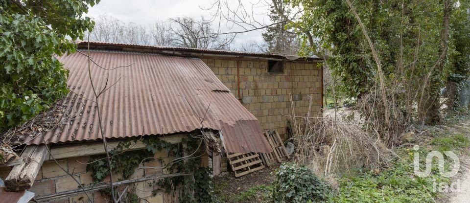 Capannone di 195 m² in Cingoli (62011)