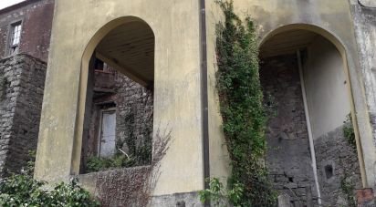 Villa Bifamiliare 0 locali di 110 m² a Fivizzano (54013)