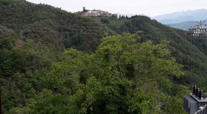 Villa Bifamiliare 0 locali di 110 m² a Fivizzano (54013)