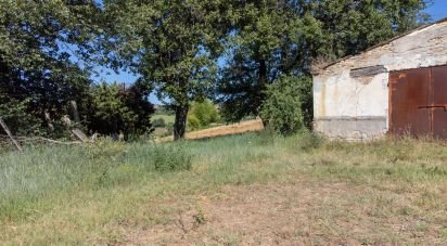 Casa indipendente 8 locali di 226 m² in Filottrano (60024)