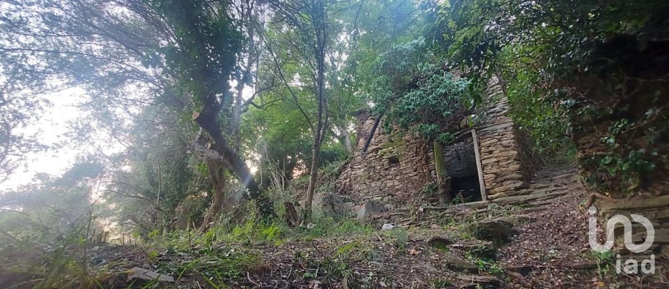 Casa indipendente 5 locali di 90 m² in Lavagna (16033)