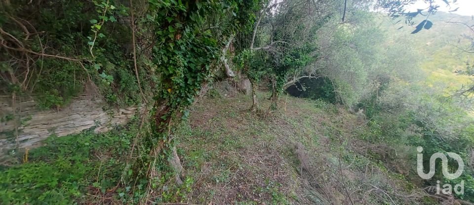 Casa indipendente 5 locali di 90 m² in Lavagna (16033)