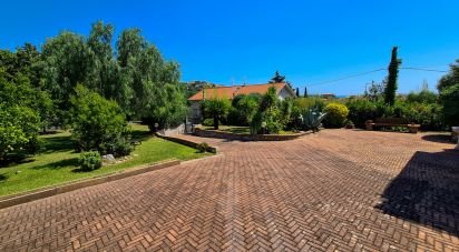 Varie superfici 4 locali di 150 m² a Boissano (17054)