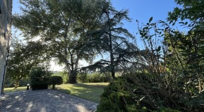 Casale 8 locali di 250 m² in Monte Urano (63813)