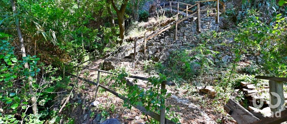 Casale 0 locali di 200 m² in Bonassola (19011)