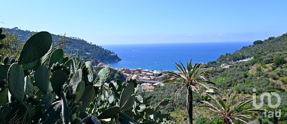 Casale 0 locali di 200 m² in Bonassola (19011)