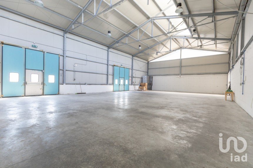 Warehouse of 372 m² in Osimo (60027)