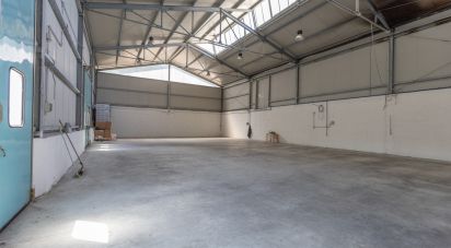 Capannone di 372 m² in Osimo (60027)