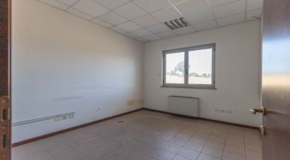 Capannone di 372 m² in Osimo (60027)