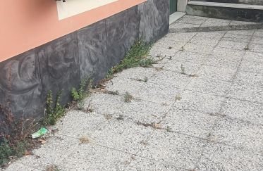 Studio 1 room of 20 m² in Genova (16143)