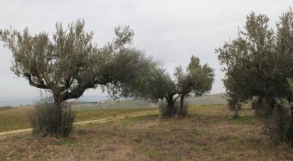 Casa indipendente 4 locali di 80 m² in Atessa (66041)