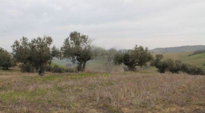 Terreno di 41.560 m² in Atessa (66041)