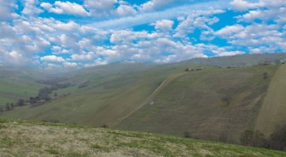 Terreno di 41.560 m² in Atessa (66041)