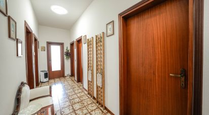 Three-room apartment of 135 m² in Portomaggiore (44015)