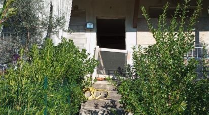 Villa a schiera 11 locali di 250 m² in Collecorvino (65010)